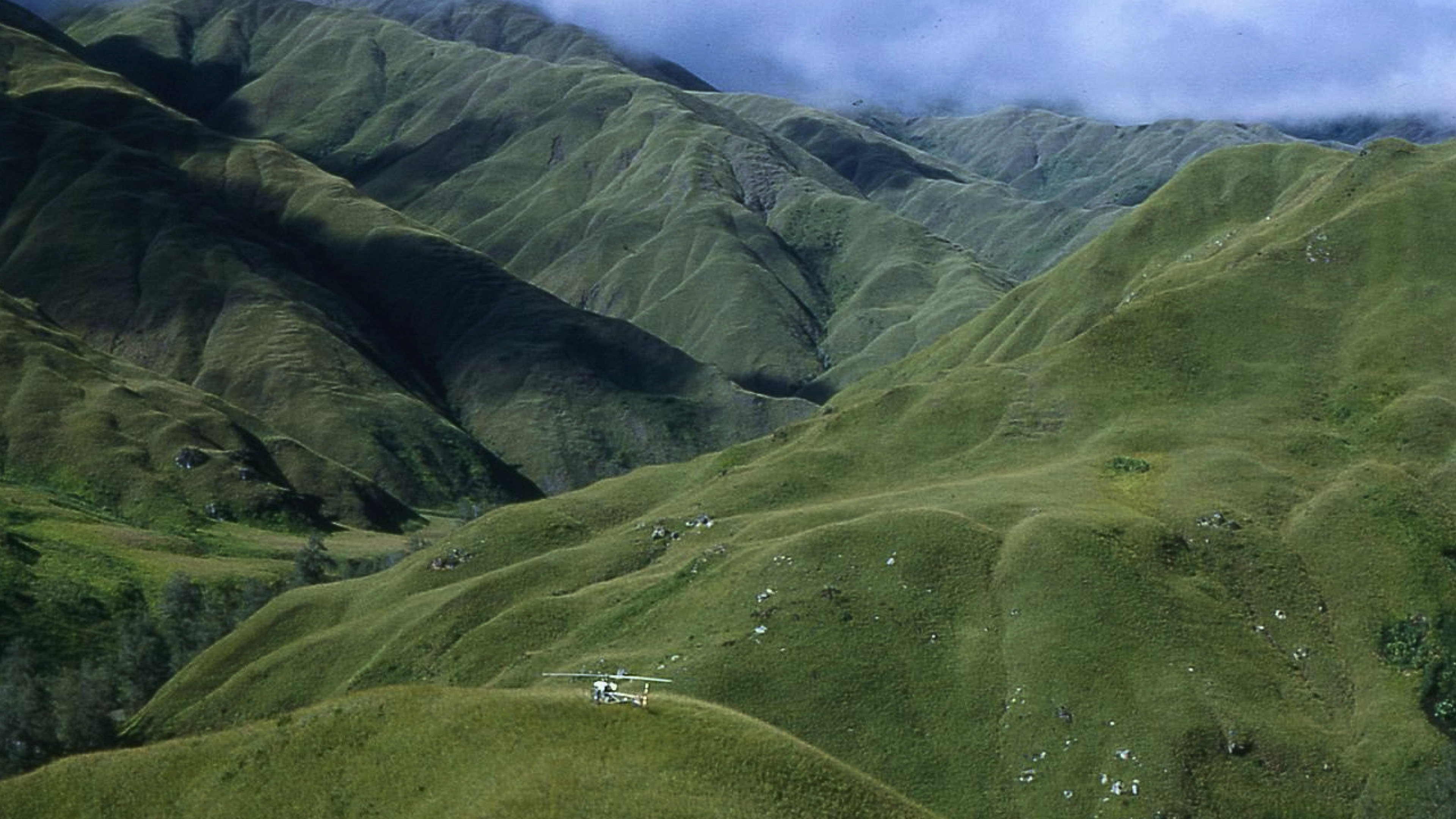 Never trust supposed simplicity before the process begins